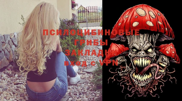 МДПВ Алексеевка