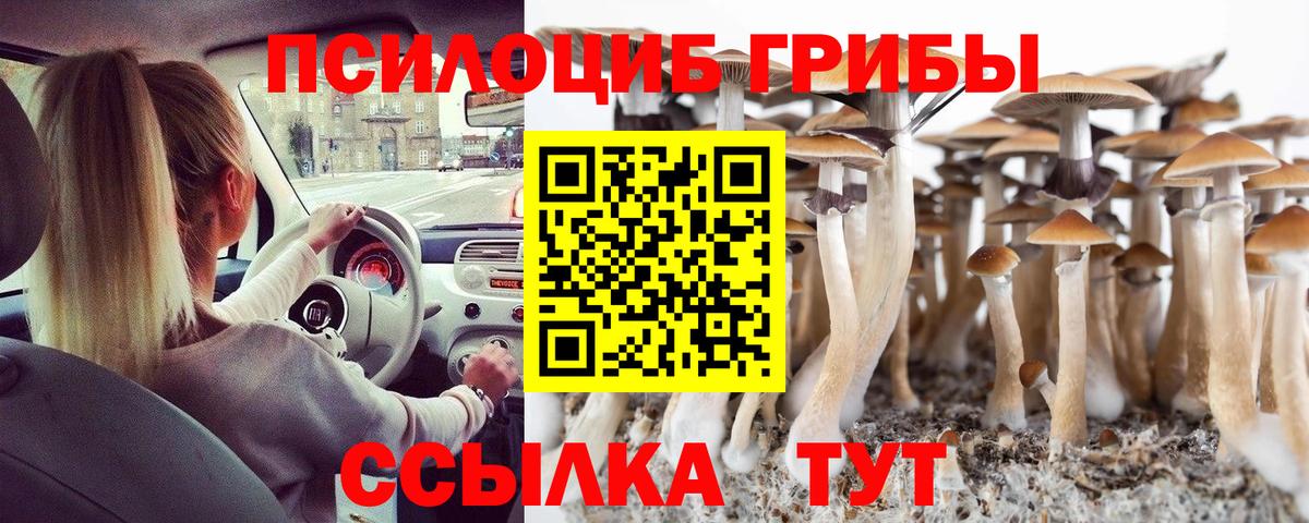 Галлюциногенные грибы прущие грибы Аргун