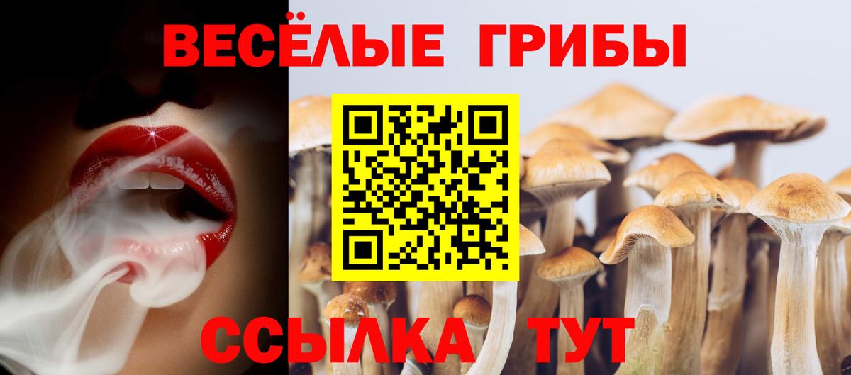 Галлюциногенные грибы Cubensis  Вход с VPN  Аргун 